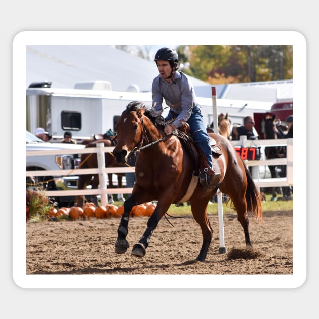 Barrel racing Sticker by theartsyeq